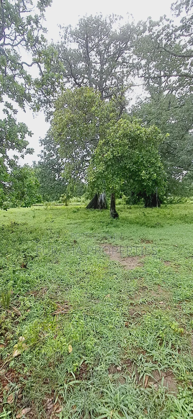 For Sele Quater/Half Acre Plots Vipingo