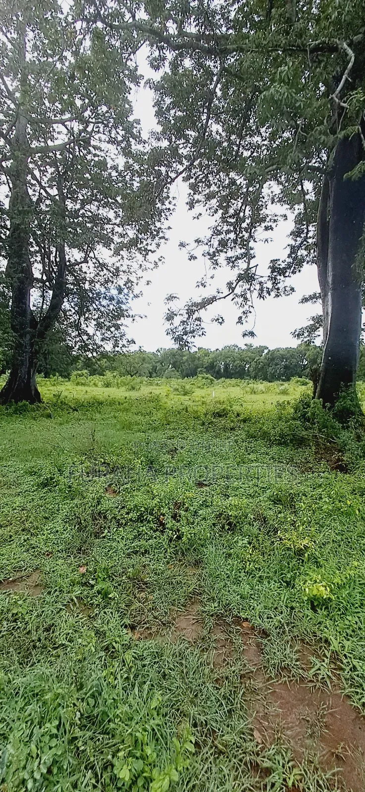 For Sele Quater/Half Acre Plots Vipingo