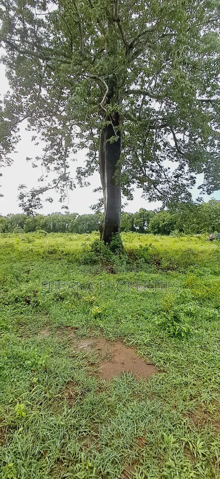 For Sele Quater/Half Acre Plots Vipingo