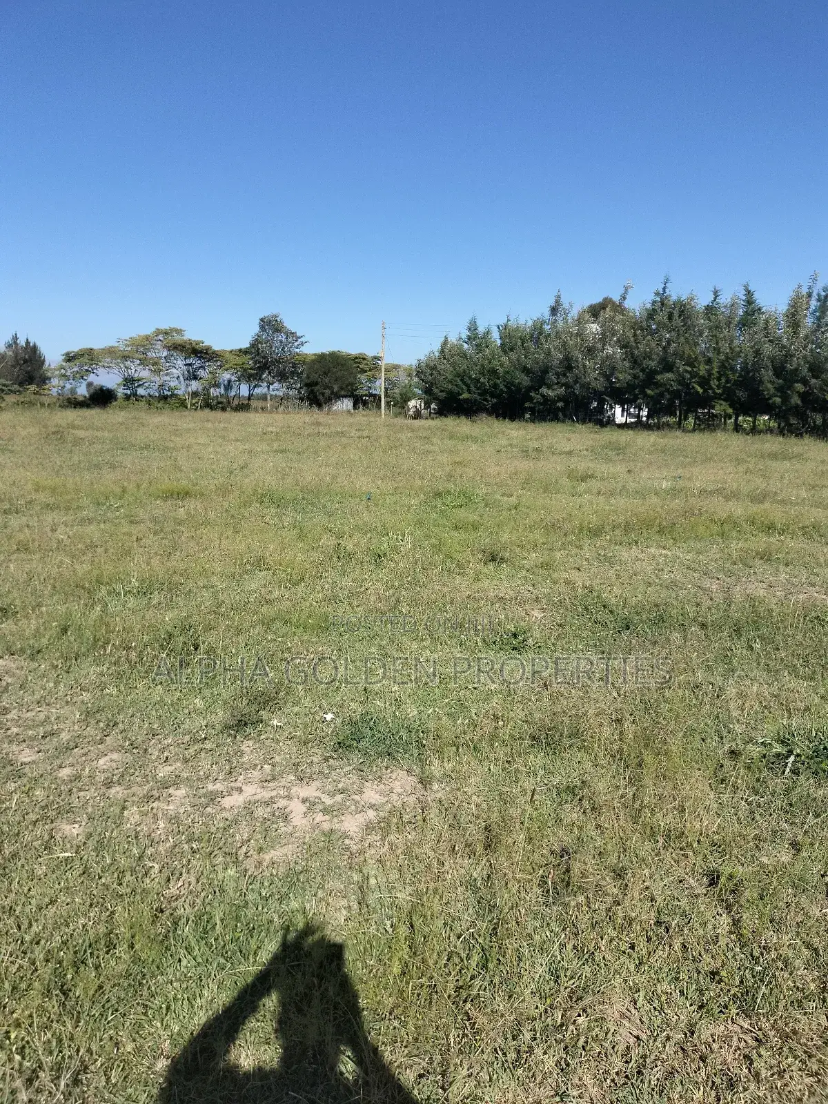 Land 1/2 Acre in Nalanya Estate Nanyuki