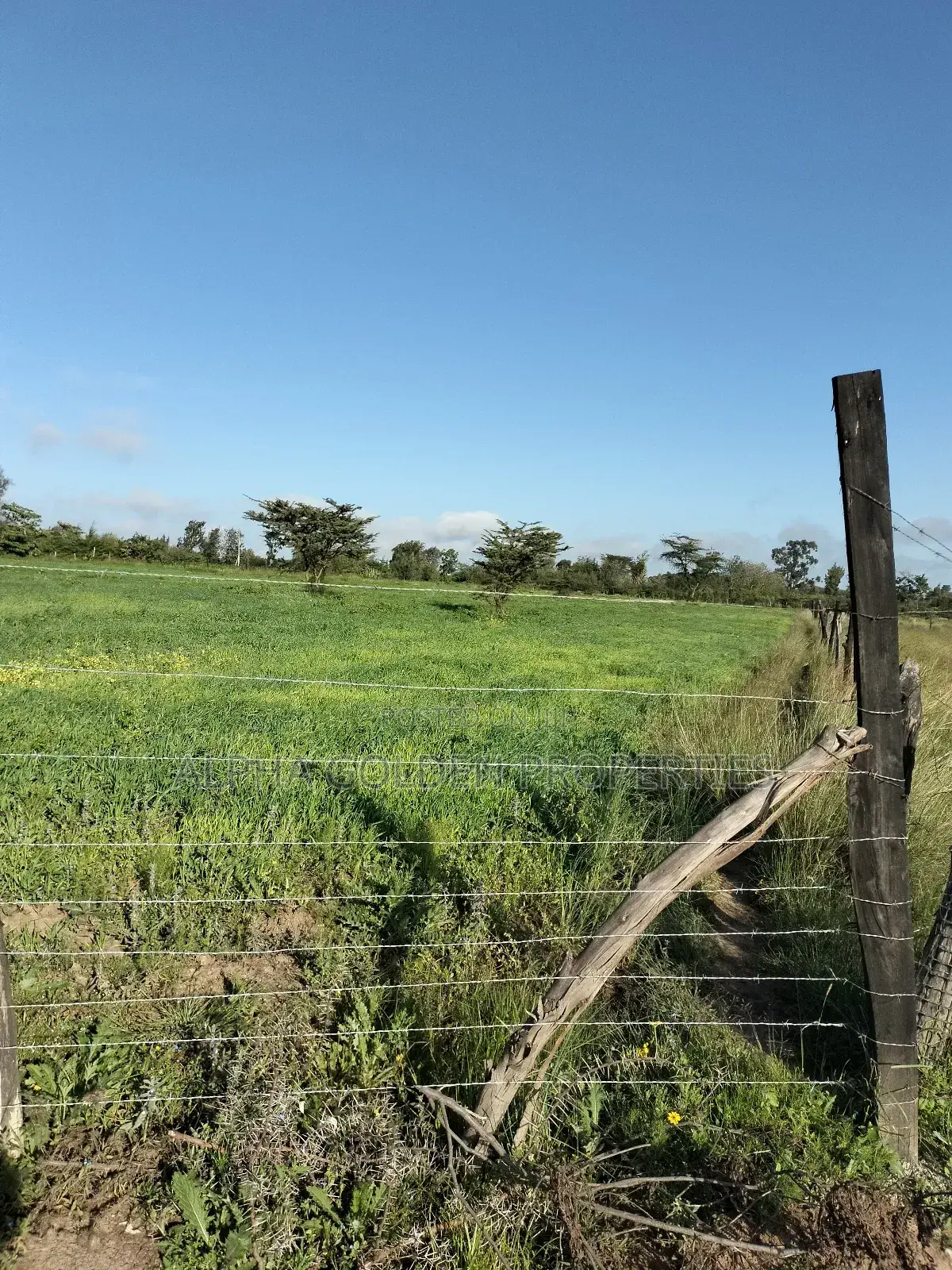 Land 5 Acres , 100 Metres From Nanyuki-Nairobi Tarmac