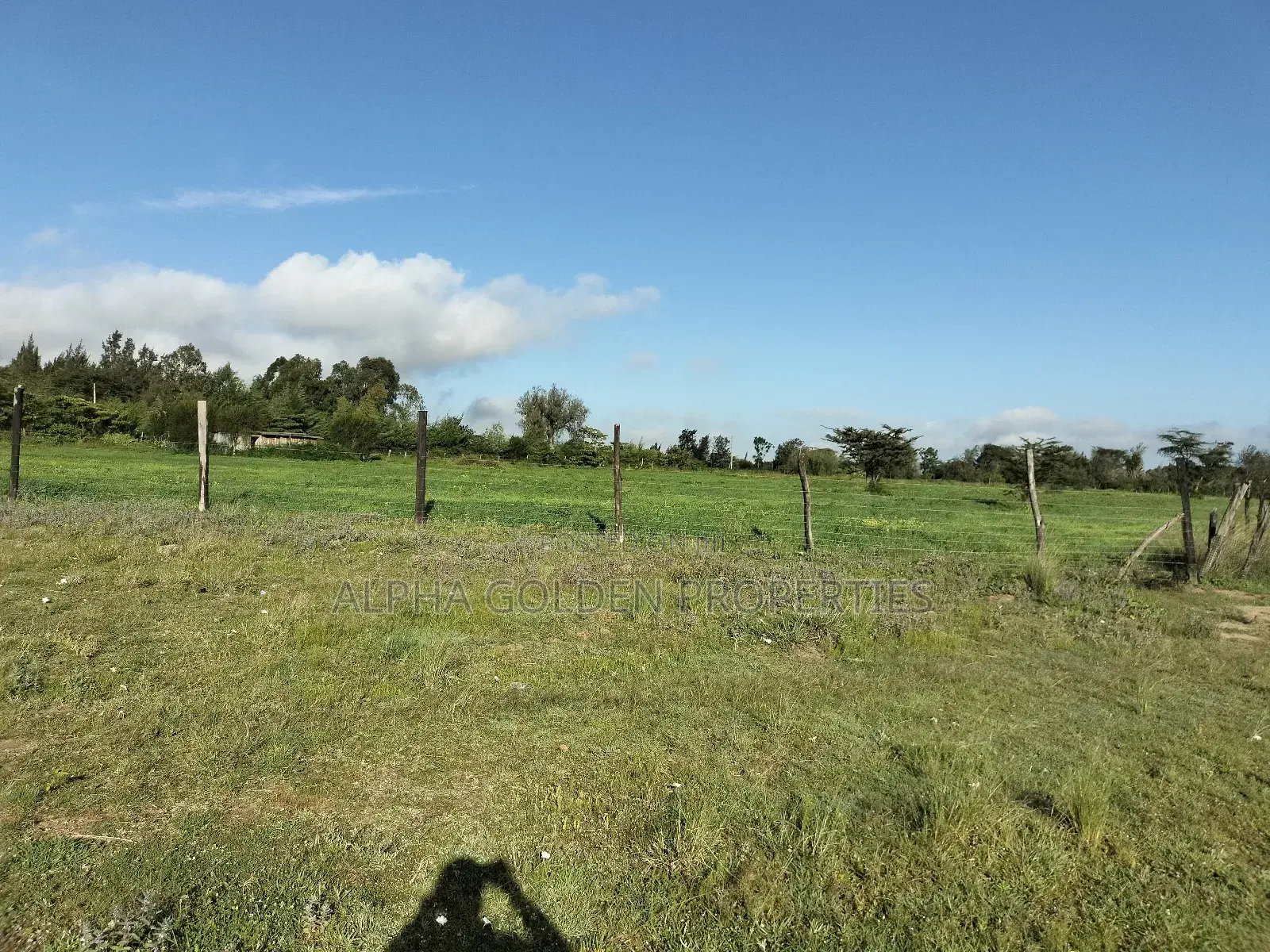 Land 5 Acres , 100 Metres From Nanyuki-Nairobi Tarmac