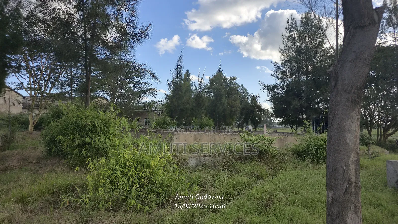 37 Acres For Sale/Jv