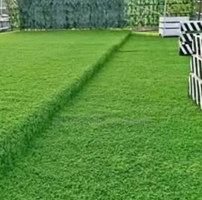 All-Season Artificial Grass Carpet at Odeon, Tsavo Road