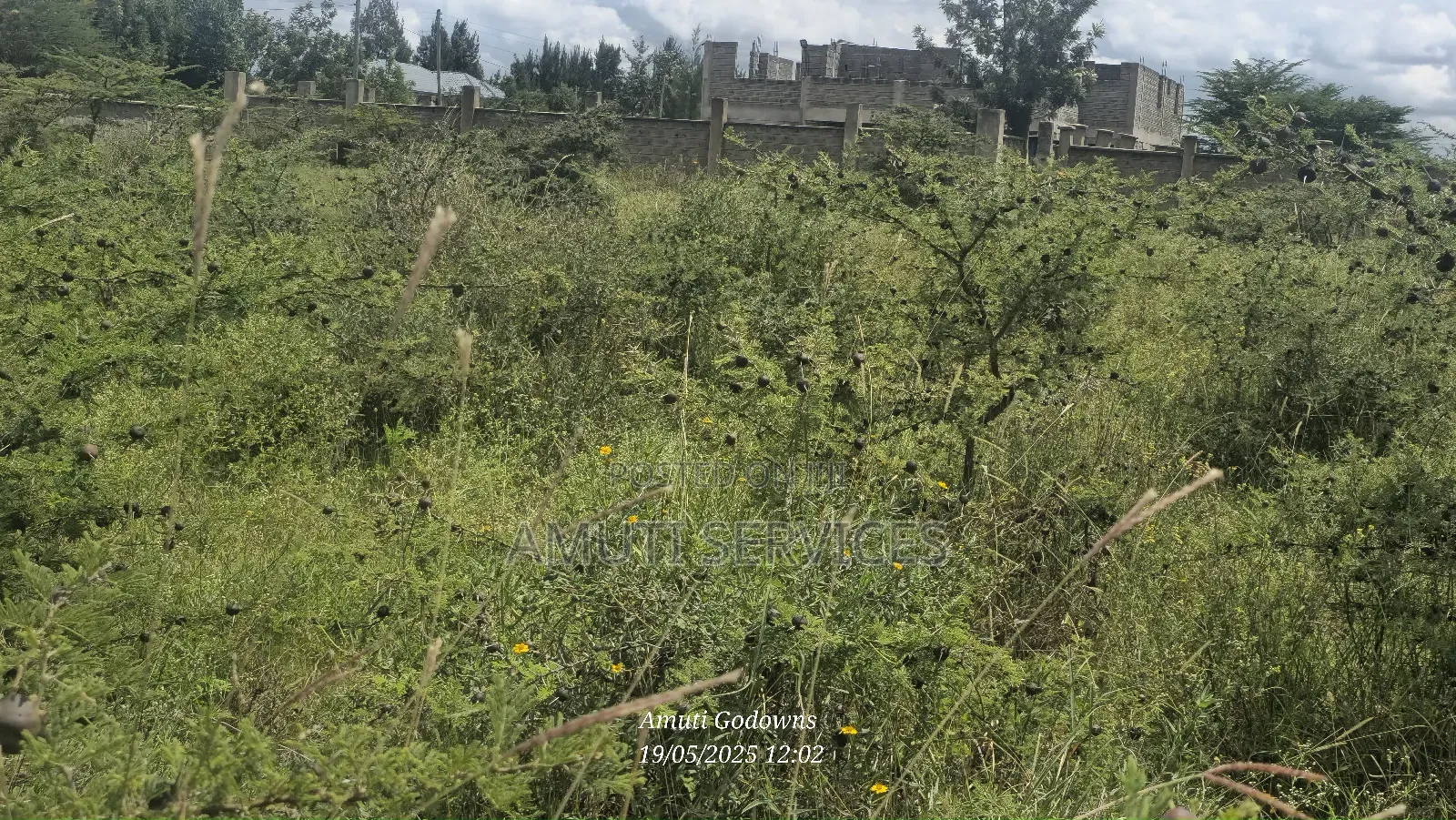 1/4 Acre Plot for Sale