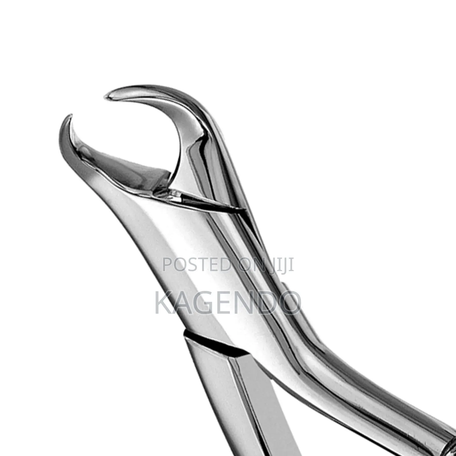 Upper Cowhorn Forceps