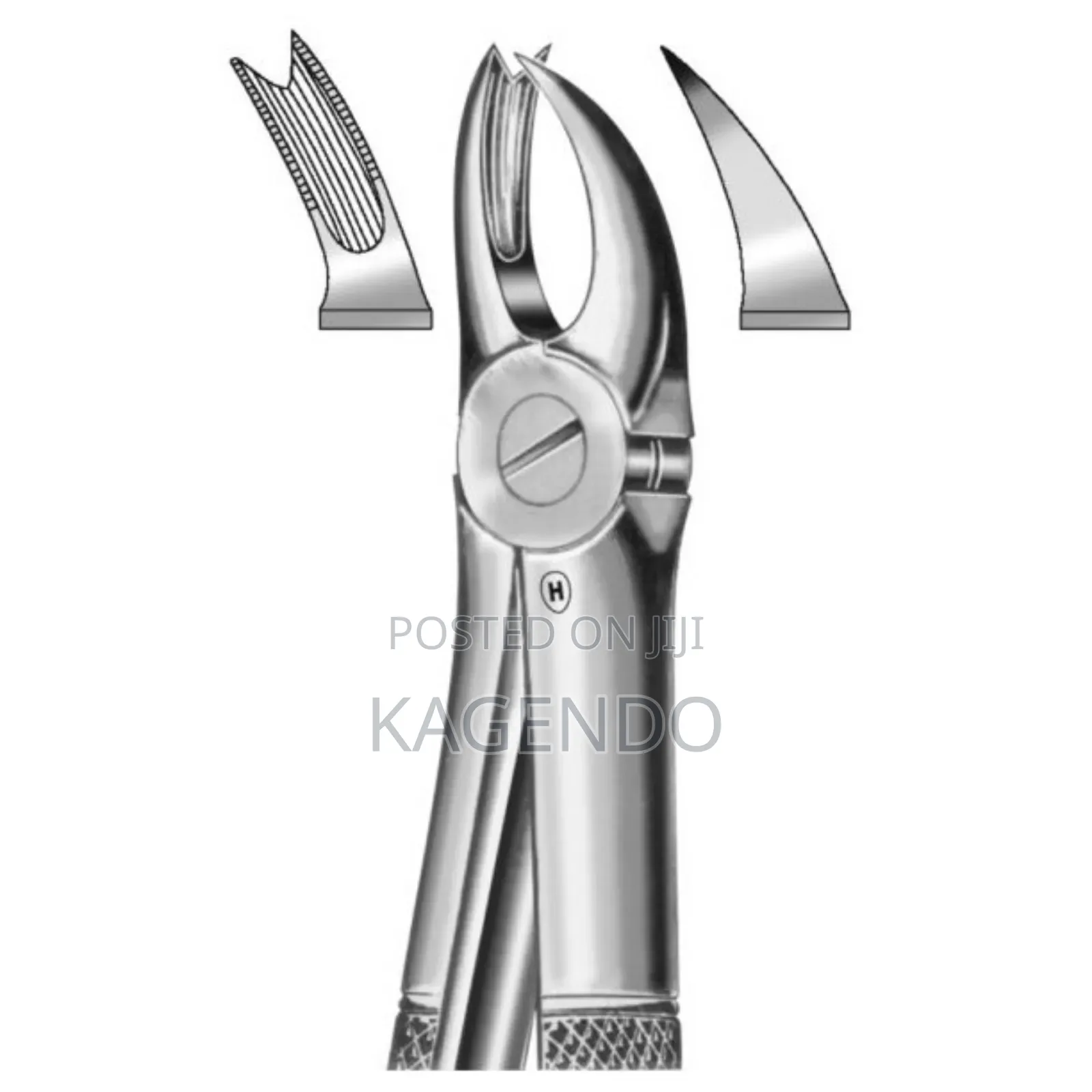 Upper Cowhorn Forceps