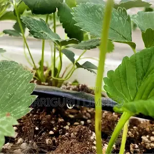 Agricultural Drip Irrigation Beltagricultural Irrigation Pip