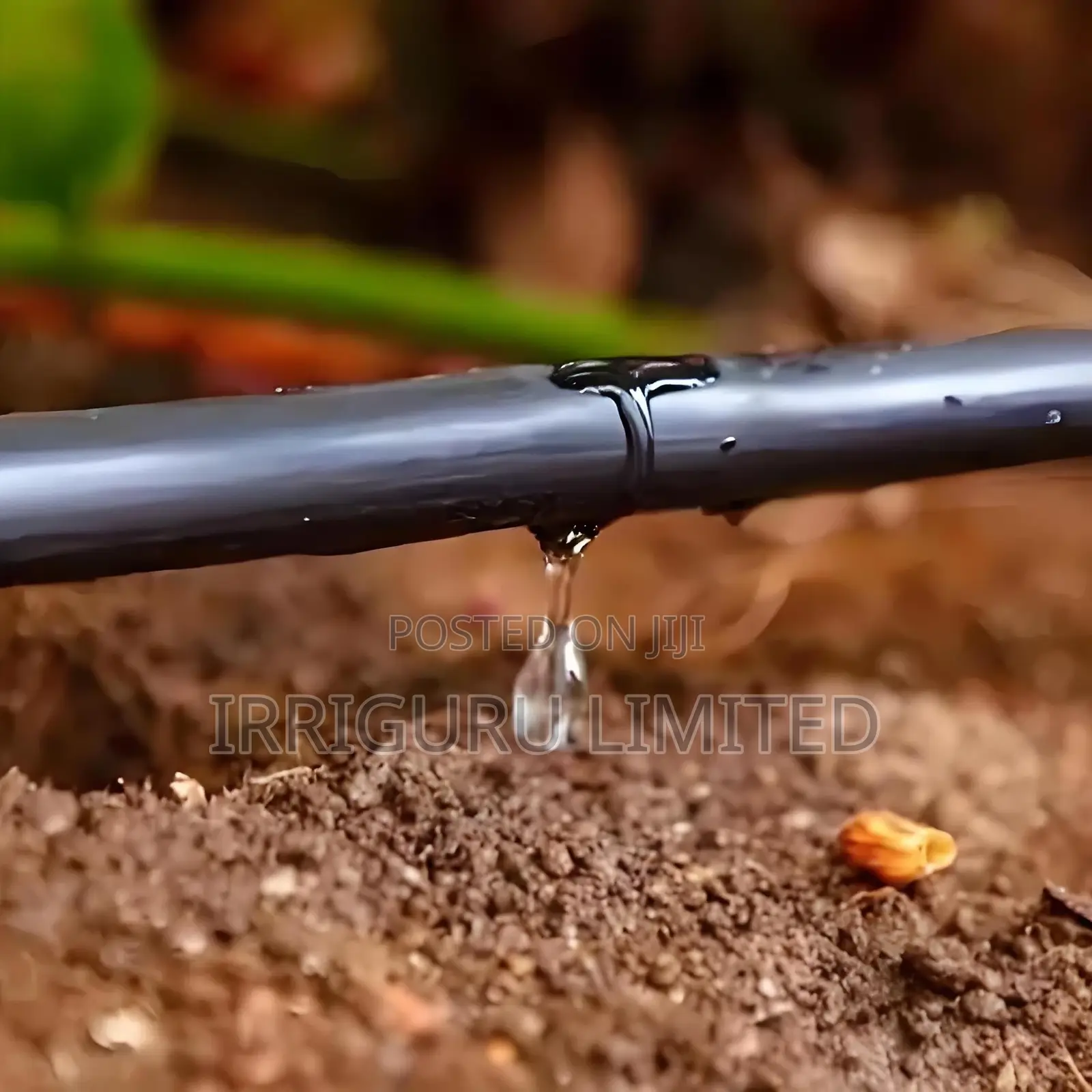 Agricultural Drip Irrigation Beltagricultural Irrigation Pip