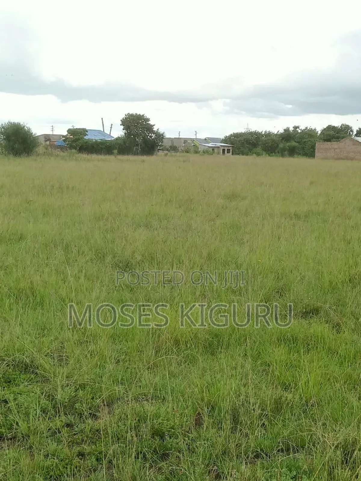 Muthaara 40x80 Prime Plots.