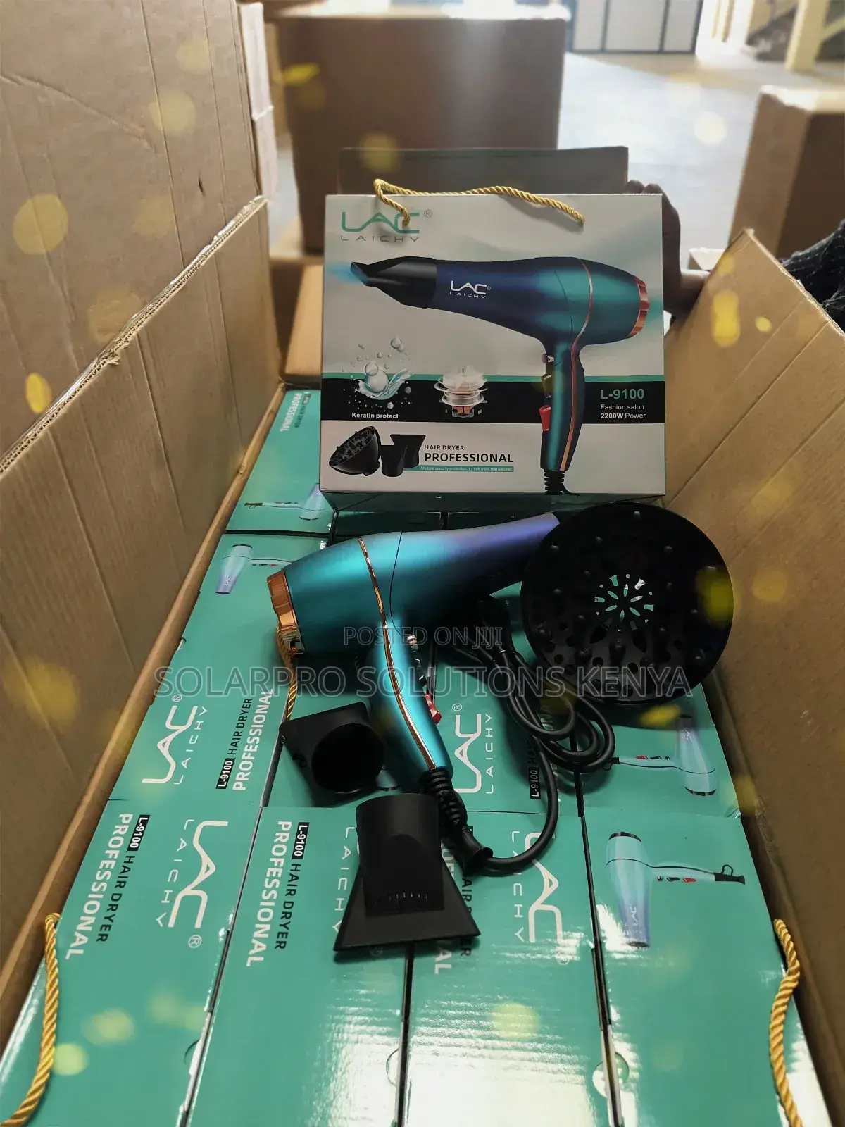 Commercial Blow Drier/Hair Drier L-9100