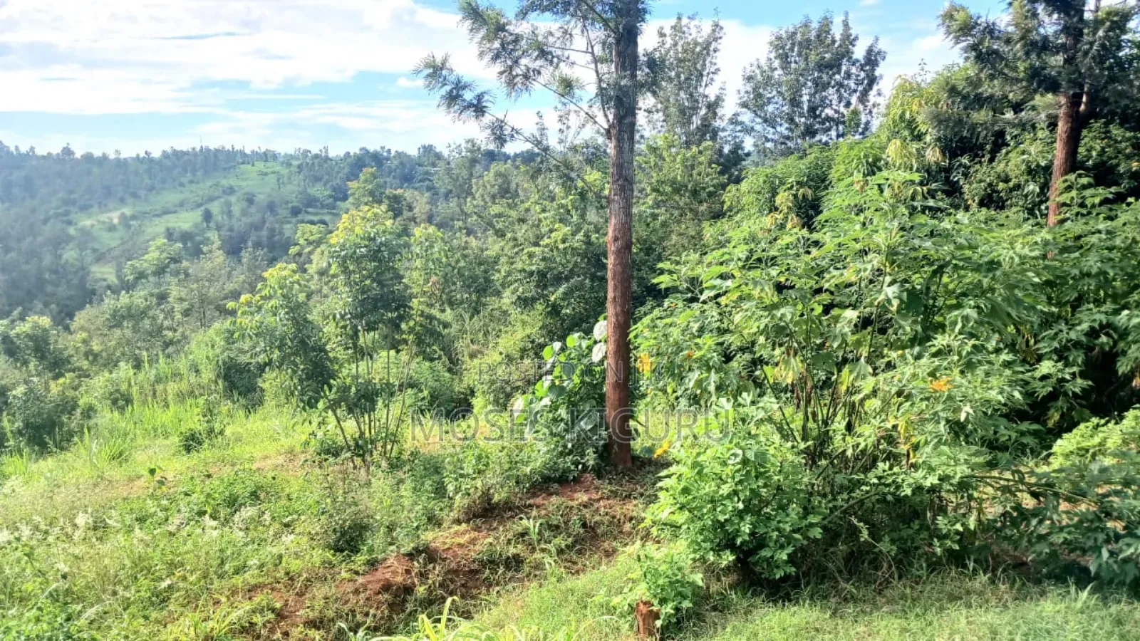 Muranga, 1 3/4 Acres, 3 Bedroom House.