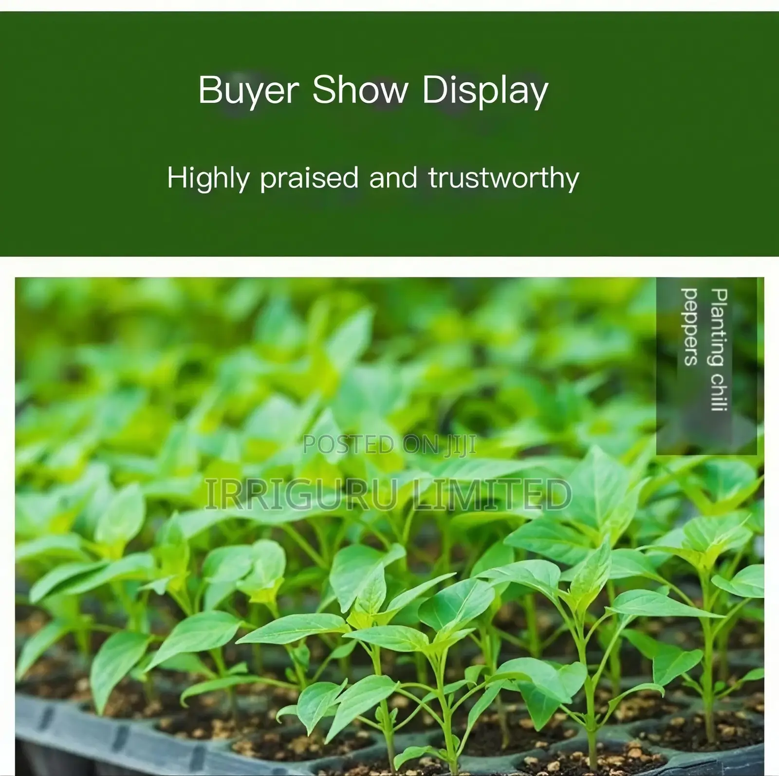 Nursery Traytransplanting Trayplant Planting Trayrecycling
