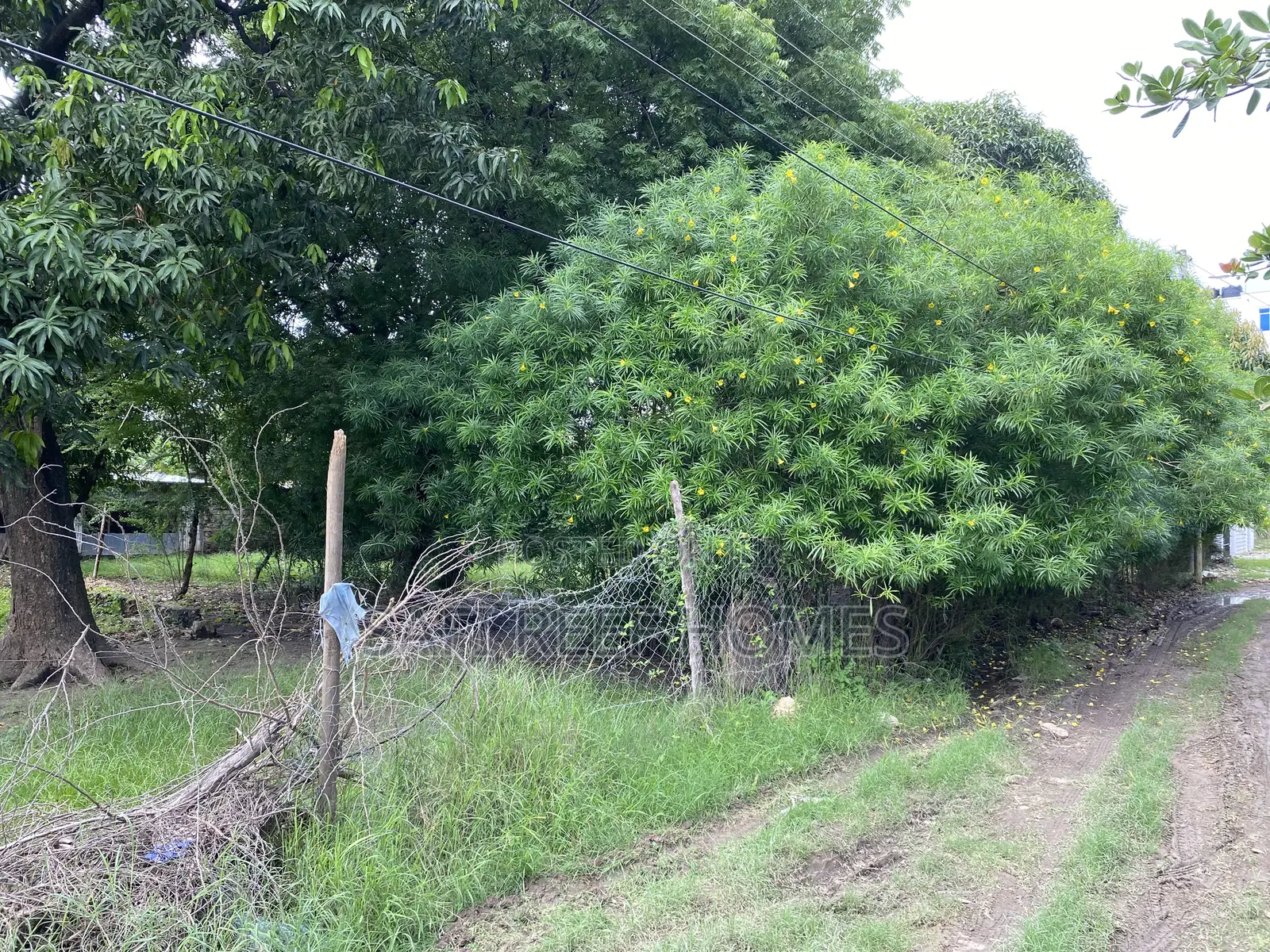 Prime Plots for Sale JCC Road Bamburi