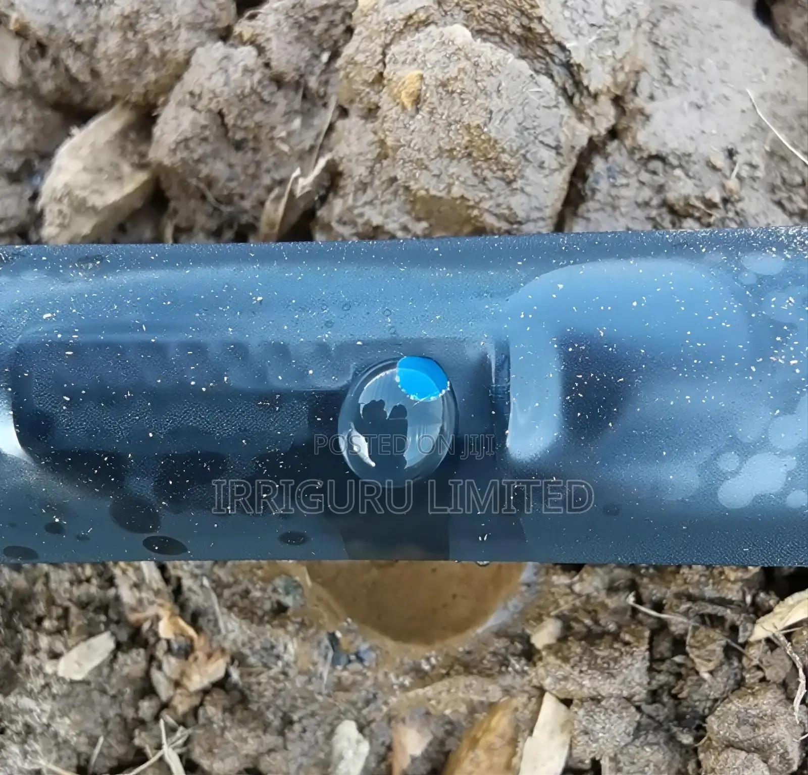 16mmdriptape Drip Irrigation Belt for Onion Planting