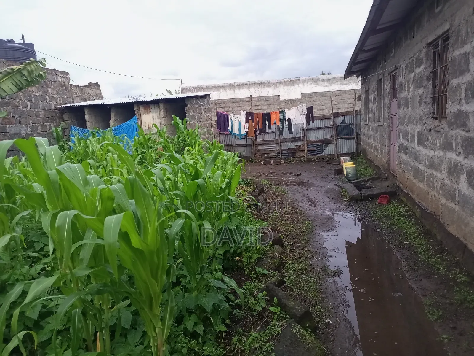 1bdrm House in Maili Sita, Nakuru Town East for sale