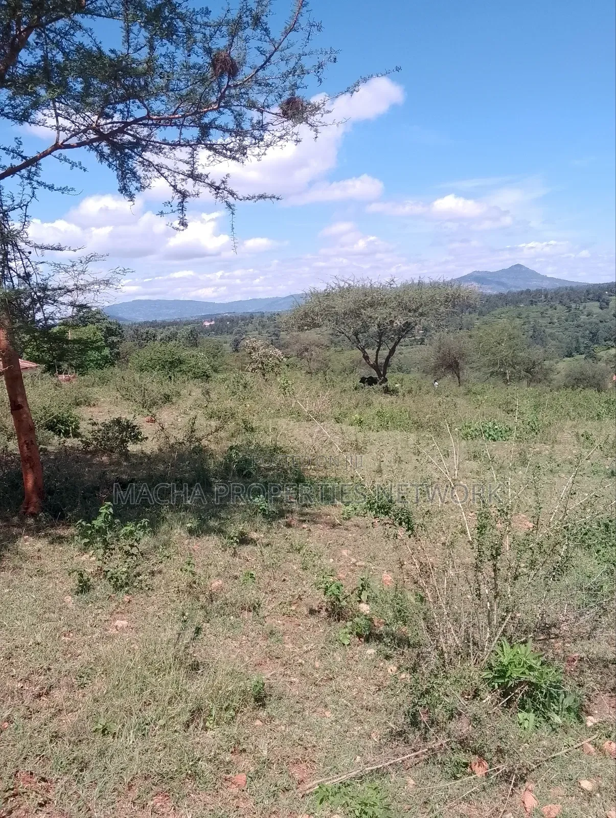 Machakos 5 Acres Kaani Kathinu