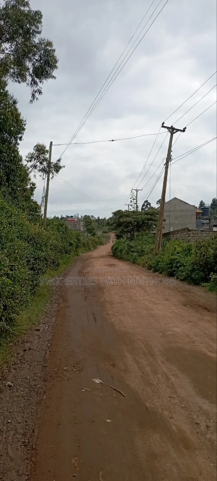50×100 Plots for Sale in Kamangu, Kikuyu