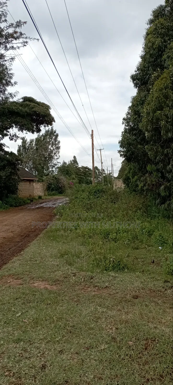 50×100 Plots for Sale in Kamangu, Kikuyu