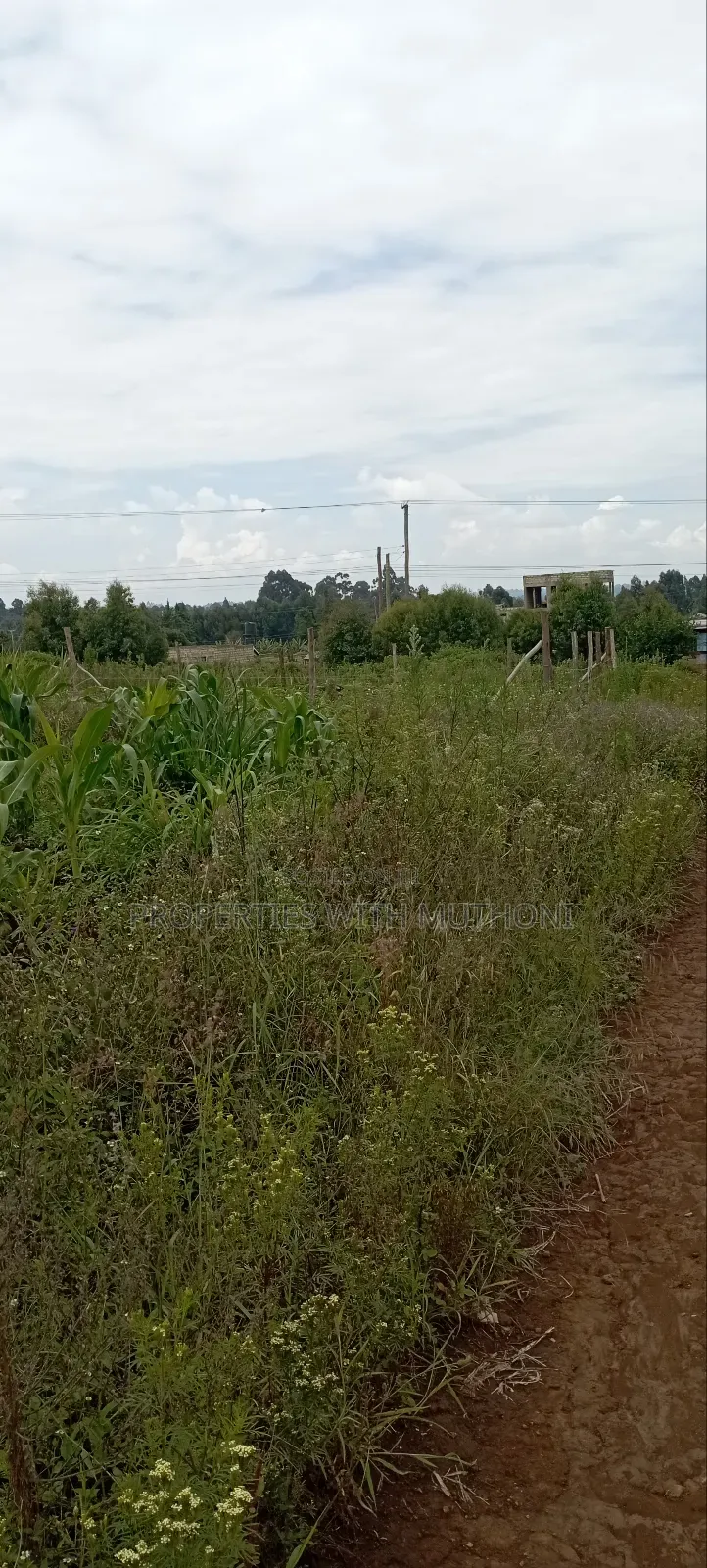 50×100 Plots for Sale in Kamangu, Kikuyu