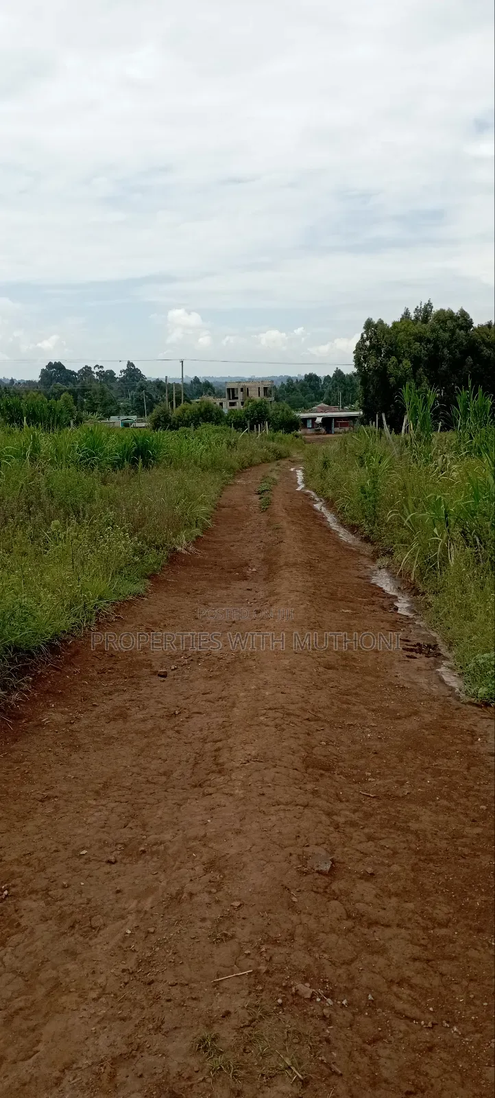50×100 Plots for Sale in Kamangu, Kikuyu