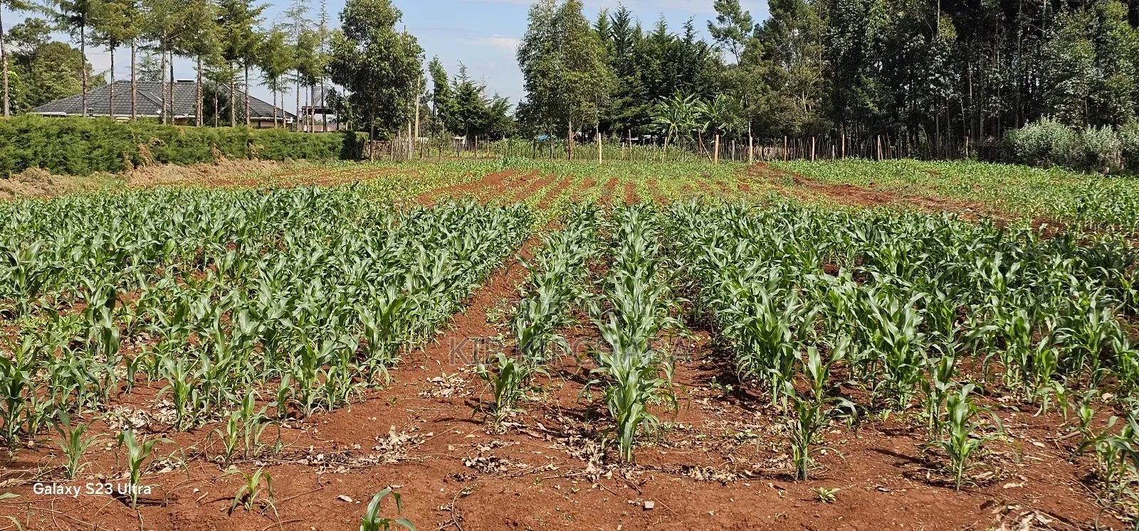1 Acre Land for Sale in Kapseret Bypass Lobo in Eldoret