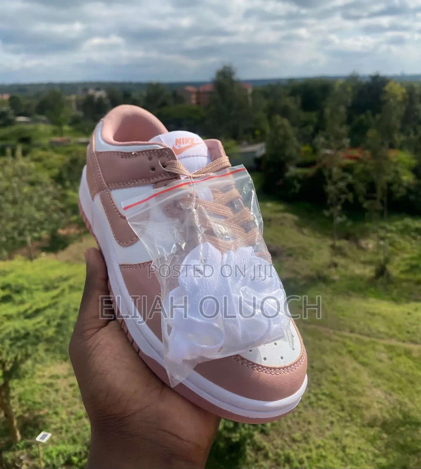 Sb Dunk Rose Whisper