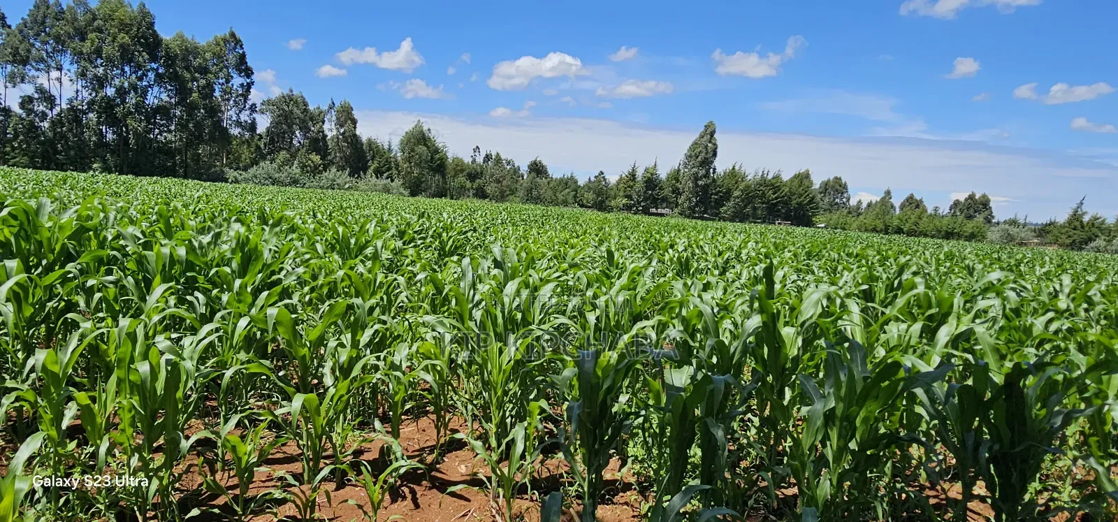 5 and 10 Acres for Sale in Kapseret Mlango Eldoret