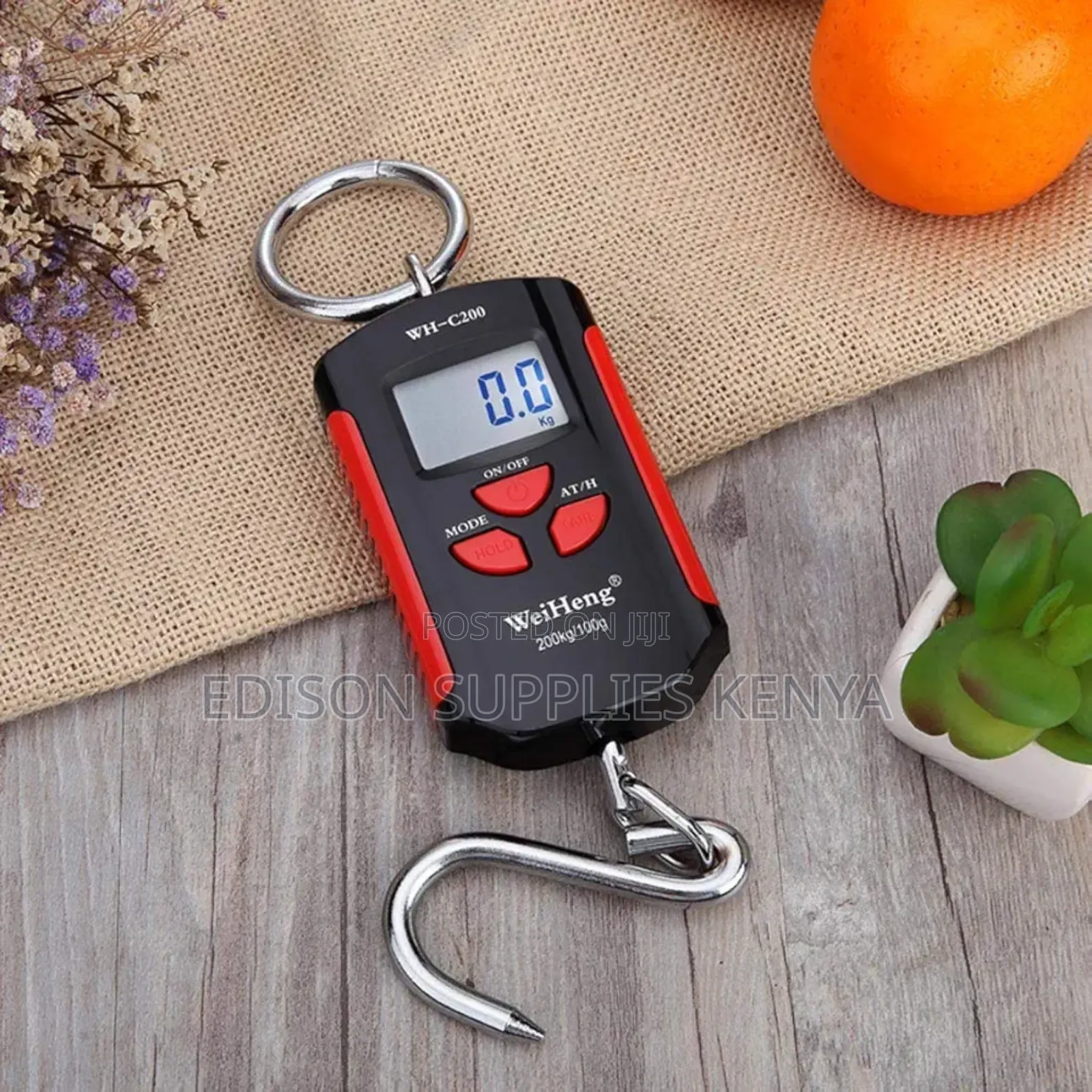 Crane Scale 200kgs Digital Hanging Weighing Scale Commercial