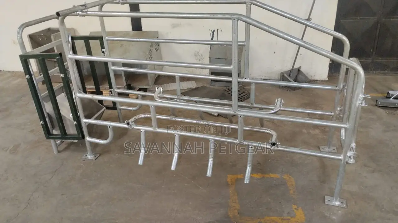Single Body Floor Standing Sow Farrowing Gestation Crate