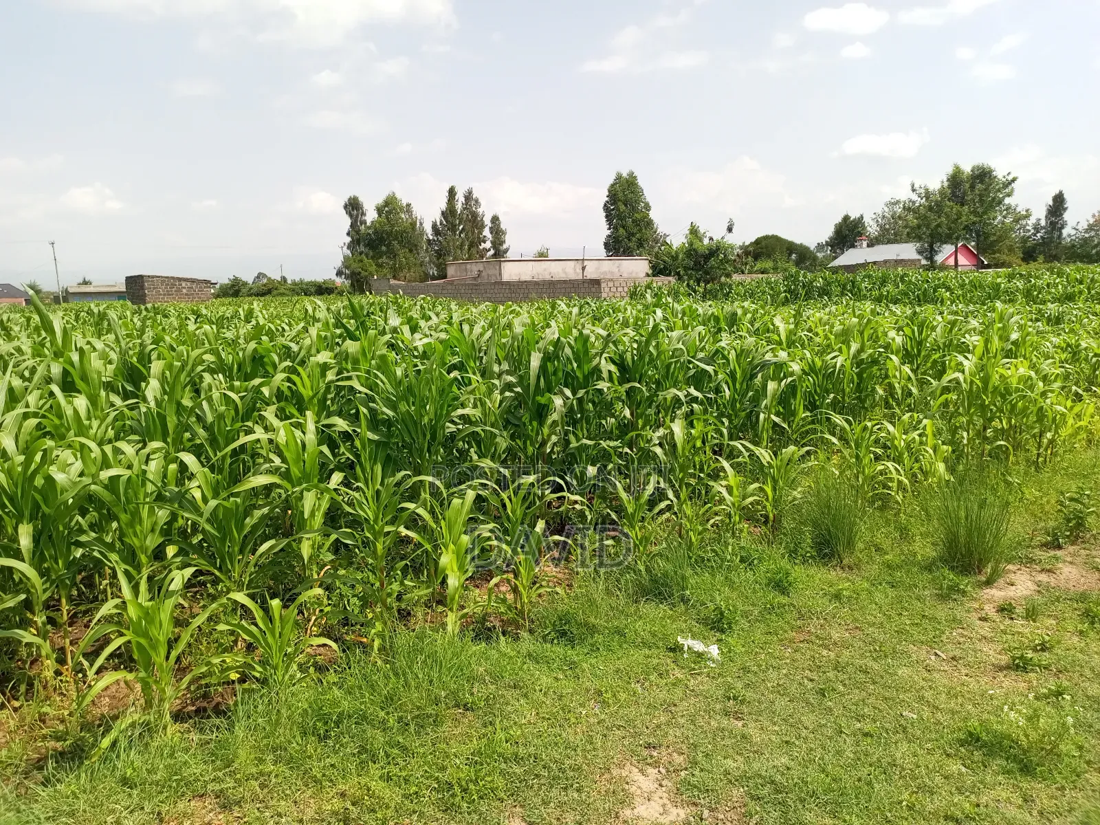 Plot for Sale in Destiny Mzee Wanyama