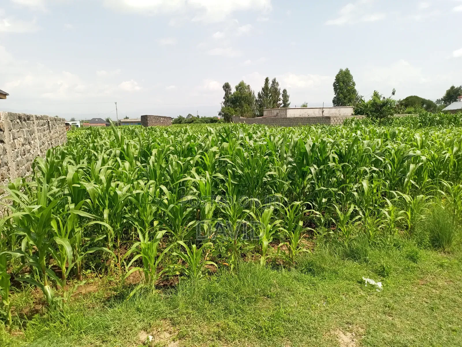 Plot for Sale in Destiny Mzee Wanyama