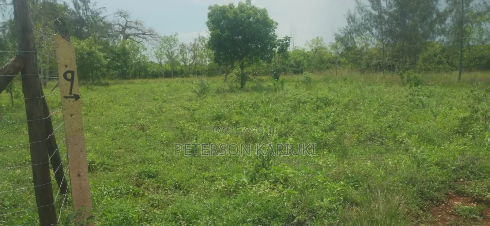 Diani Prime Plots on Sale