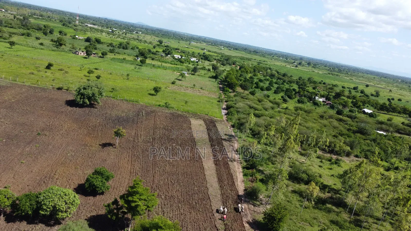 Kidomaya 38 Acre Farm Land on Sale! 