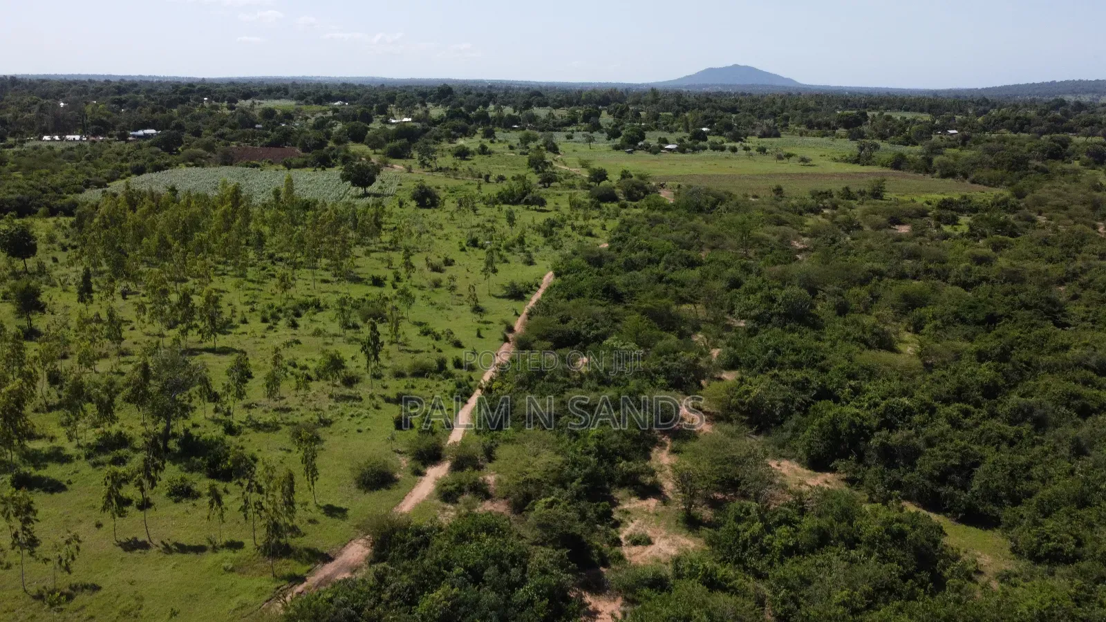 Kidomaya 38 Acre Farm Land on Sale! 