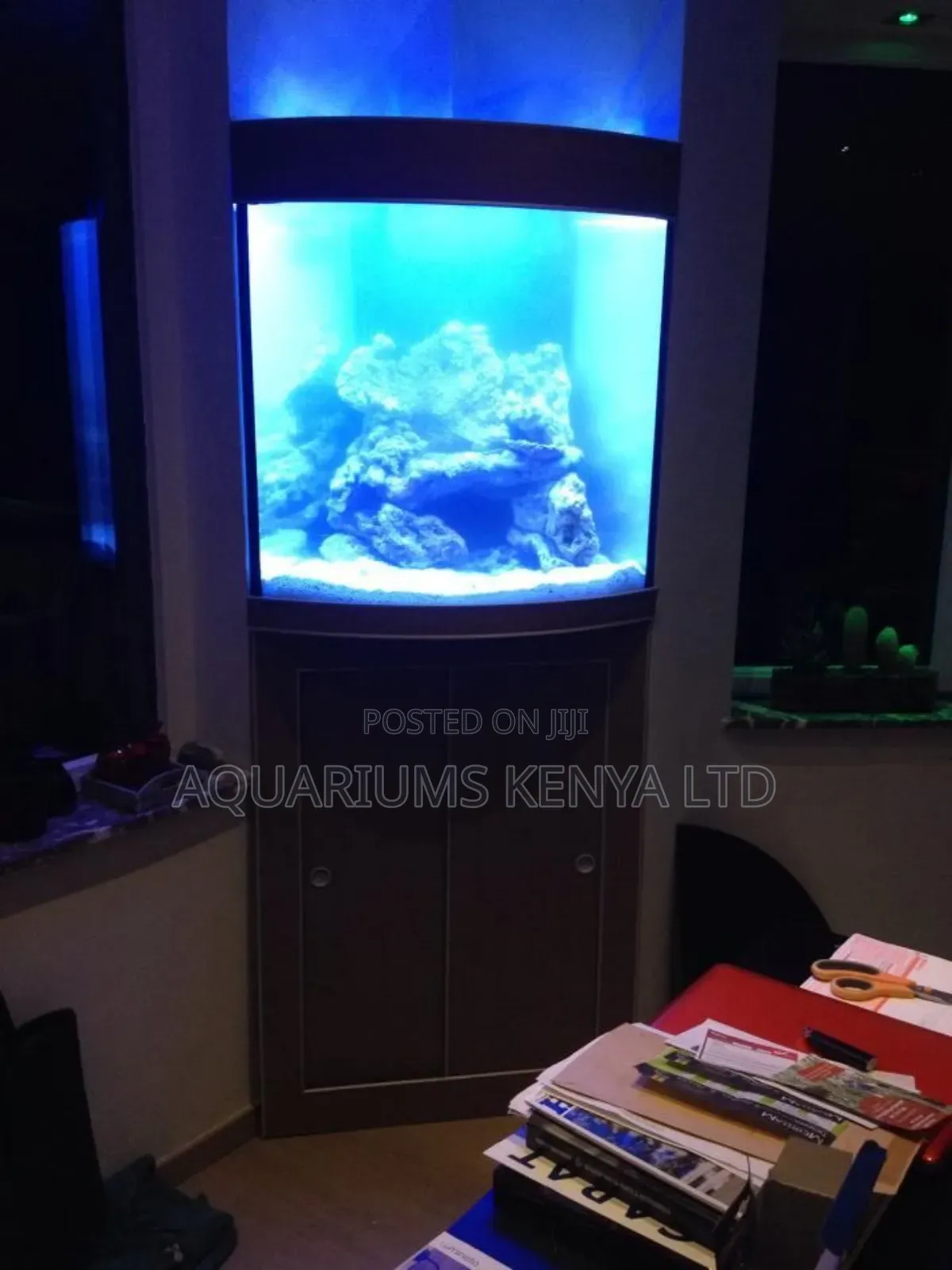 Front Curved Custom-Made Aquarium