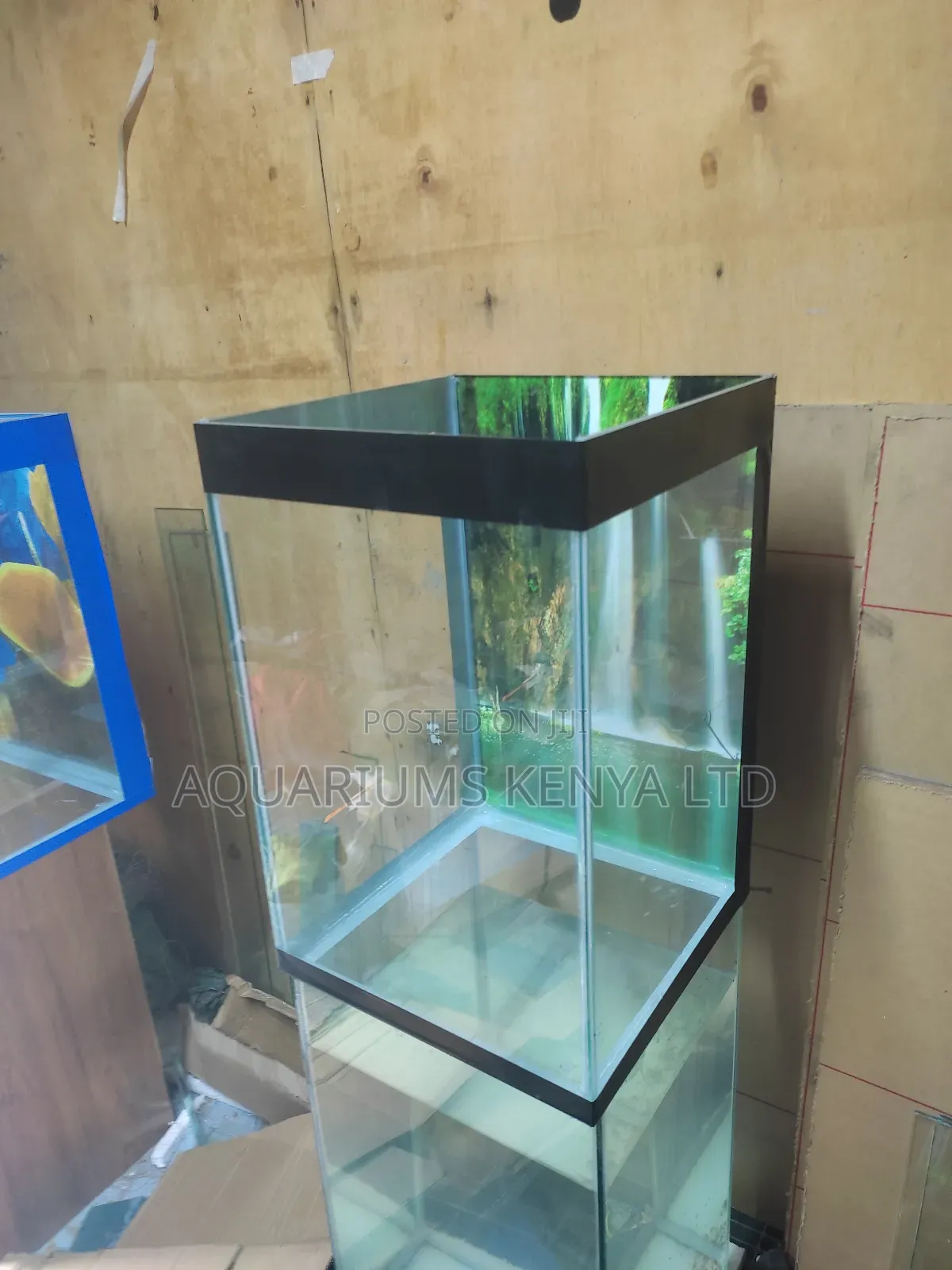 1 1⁄2foot Vertical Aquarium ,Complete Set With Fish