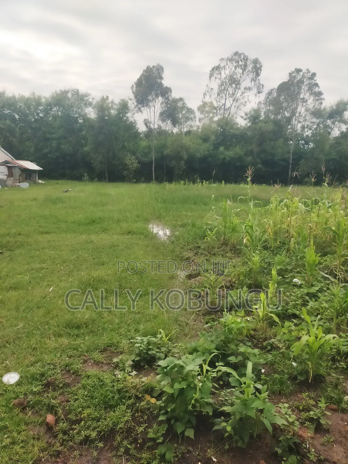 3⁄4 of an Acre Along Nairobi Road Near Alendu