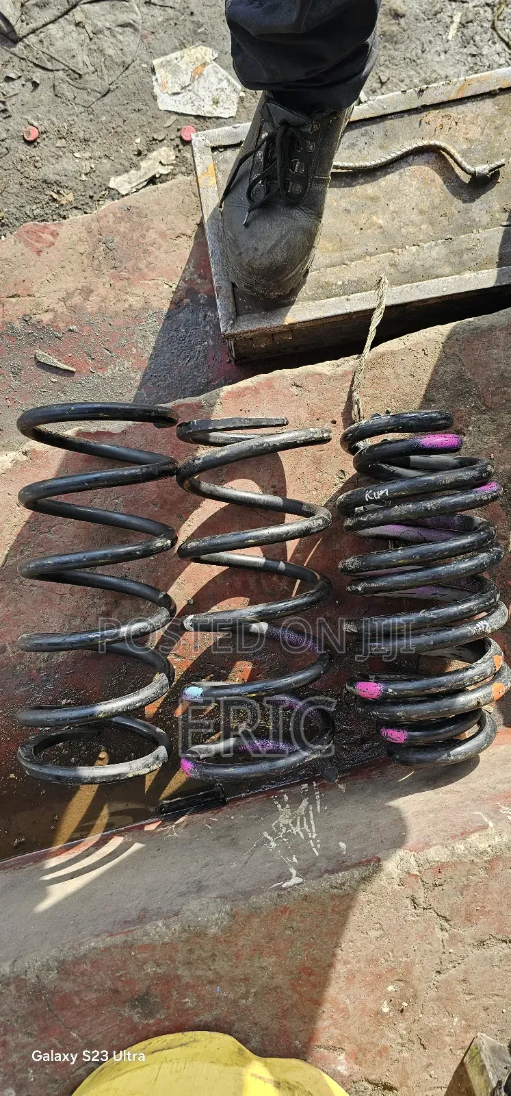 Probox New Heavy Duty Springs