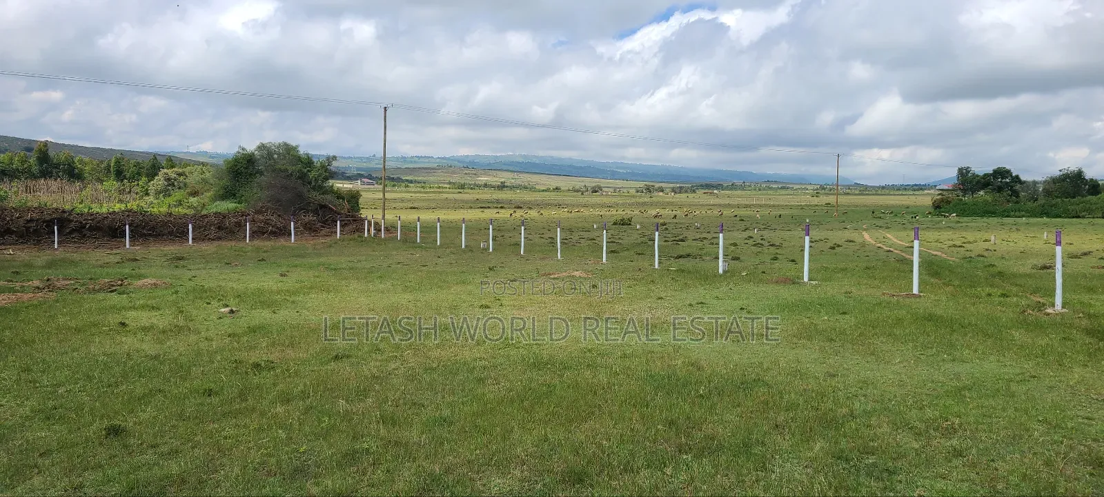 Prime Plots 1km Feom the Highway,50 by 100