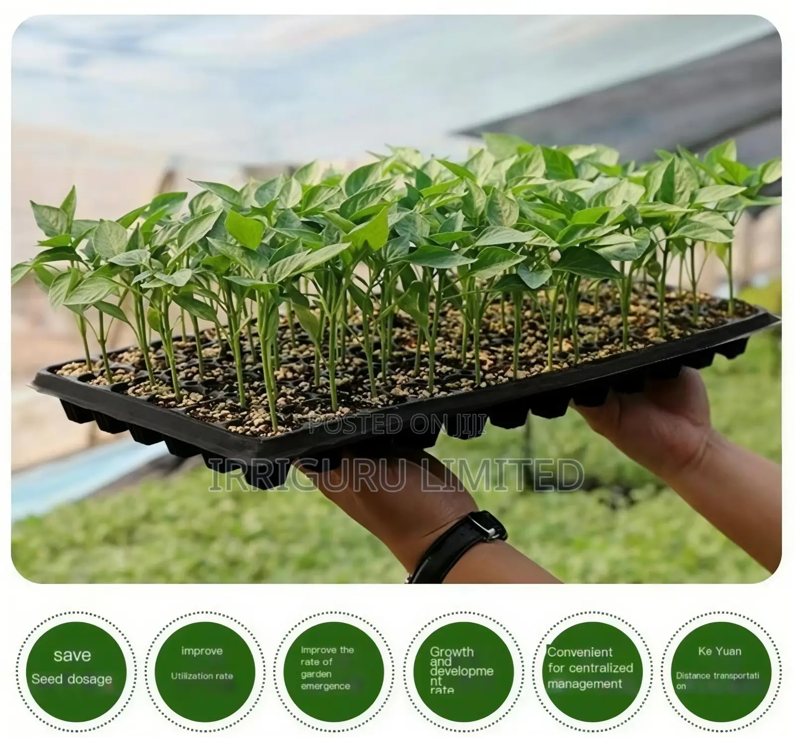 288-Hole Pepper Seedling Trayreuse the Seedling Tray