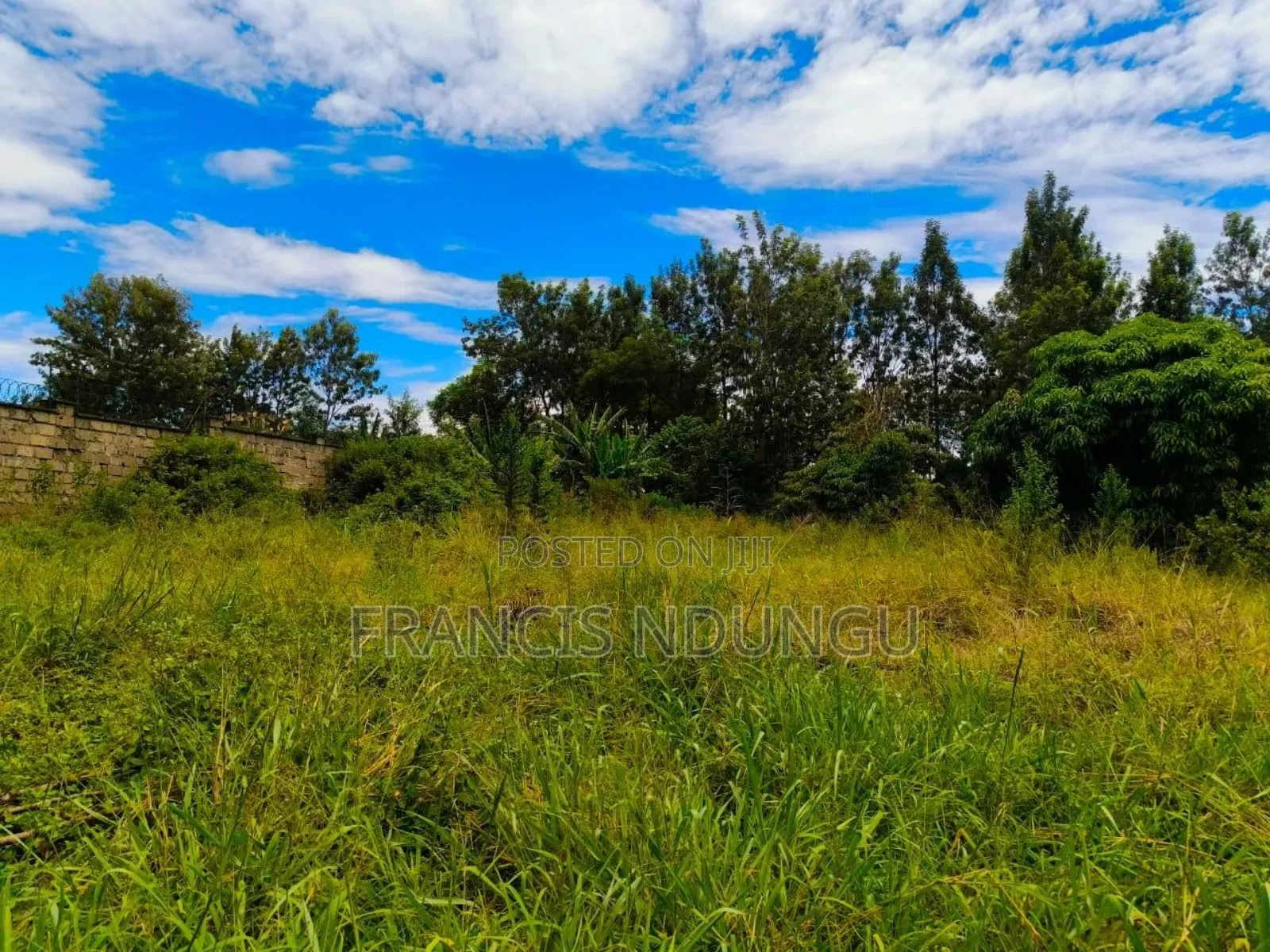 1/2 Acre Residential Land for Sale Cianda Kiambu Township