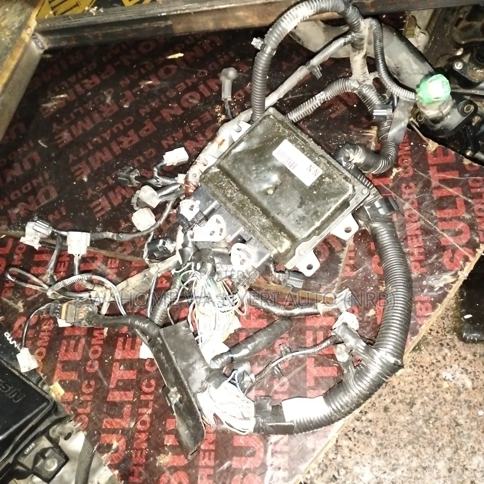 Engine Harness and Ecu Nissan Extrail,Dualis,Serena