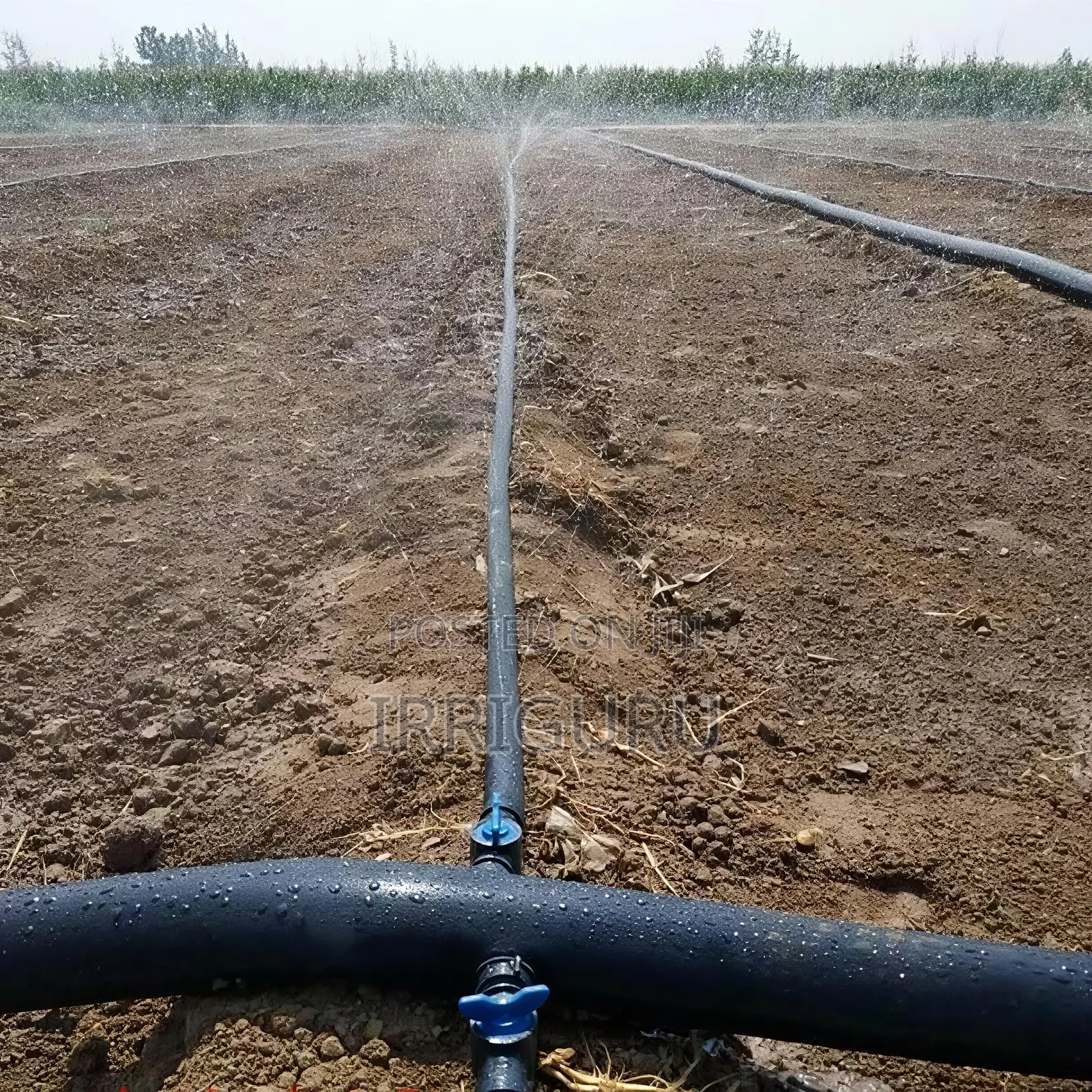 N50rainhose100 Meters Per Plate