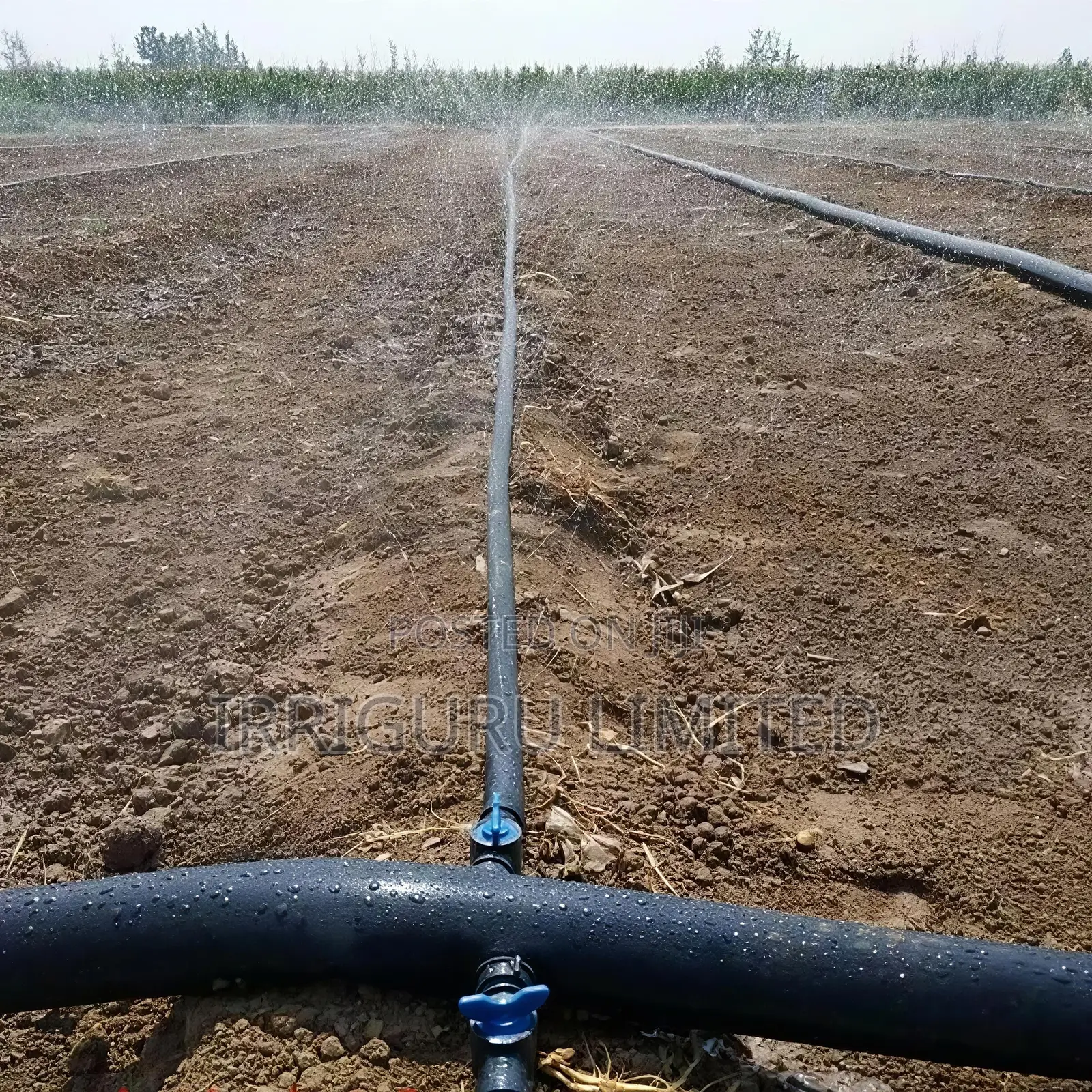N50rainhose100 Meters Per Plate