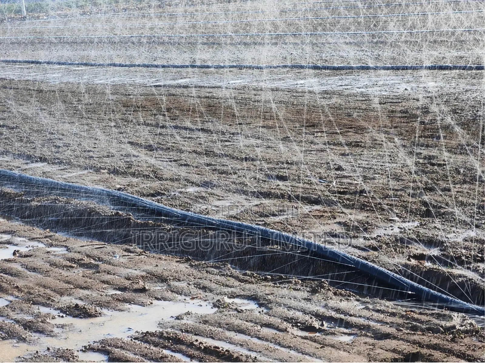 N65rainhose 100 Meter Irrigation Pipes Per Plate