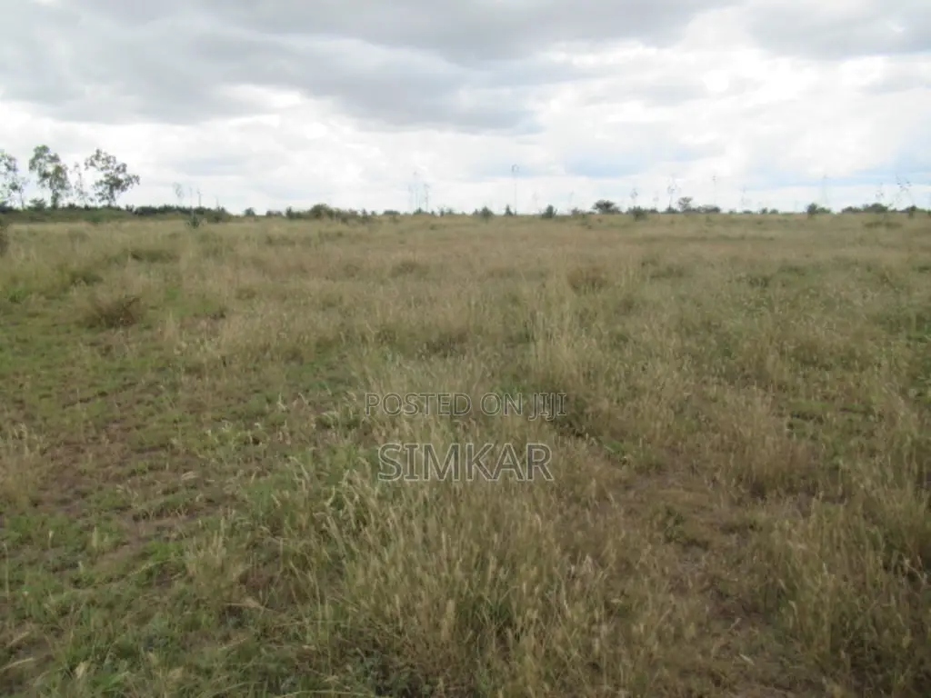 50 Acres of Land for Sale in Katani, Ideal for a Quarry