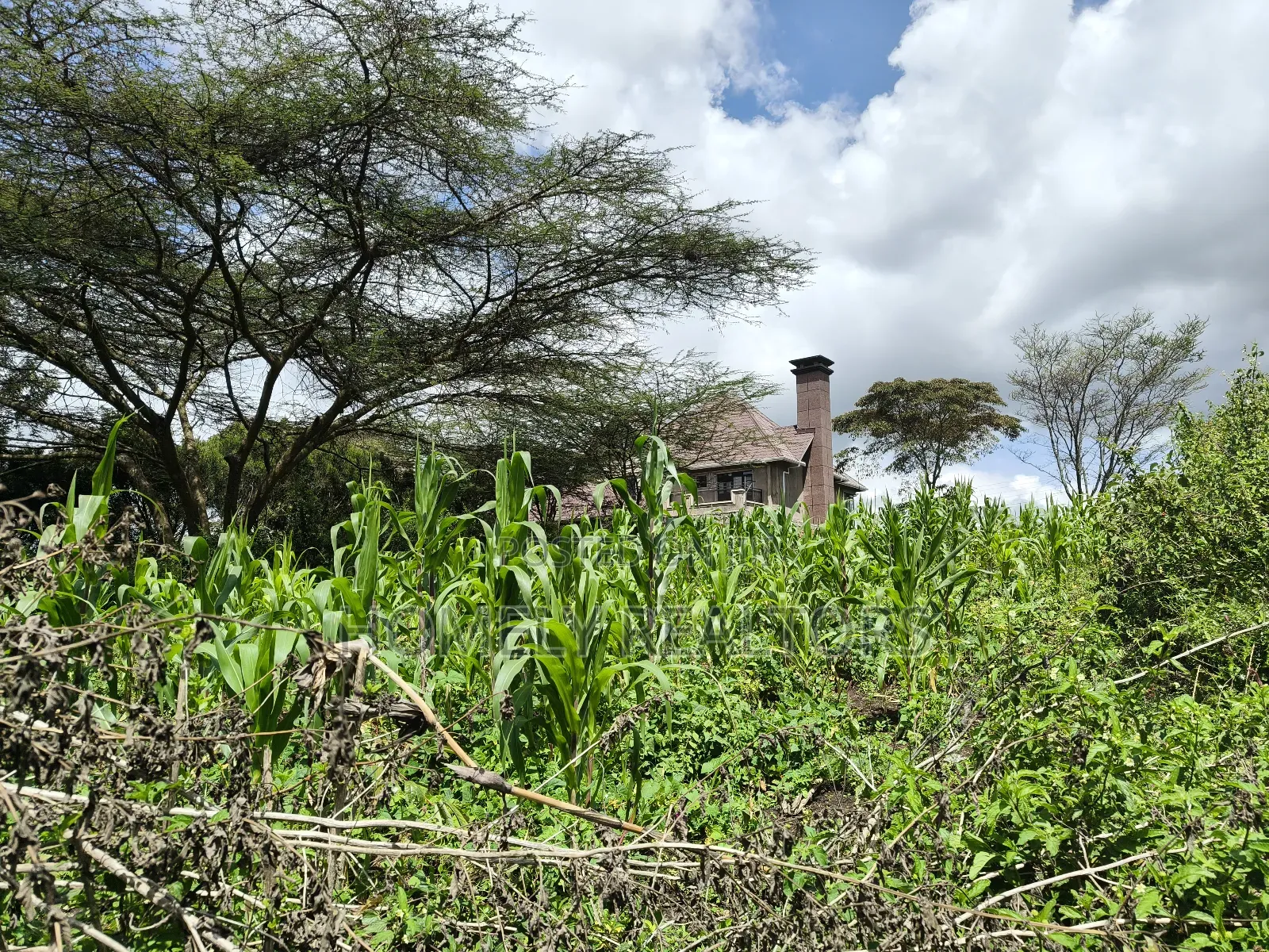 Eighth Acre Plot in Ngong, Ol Keri 100 Meters From Tarmac