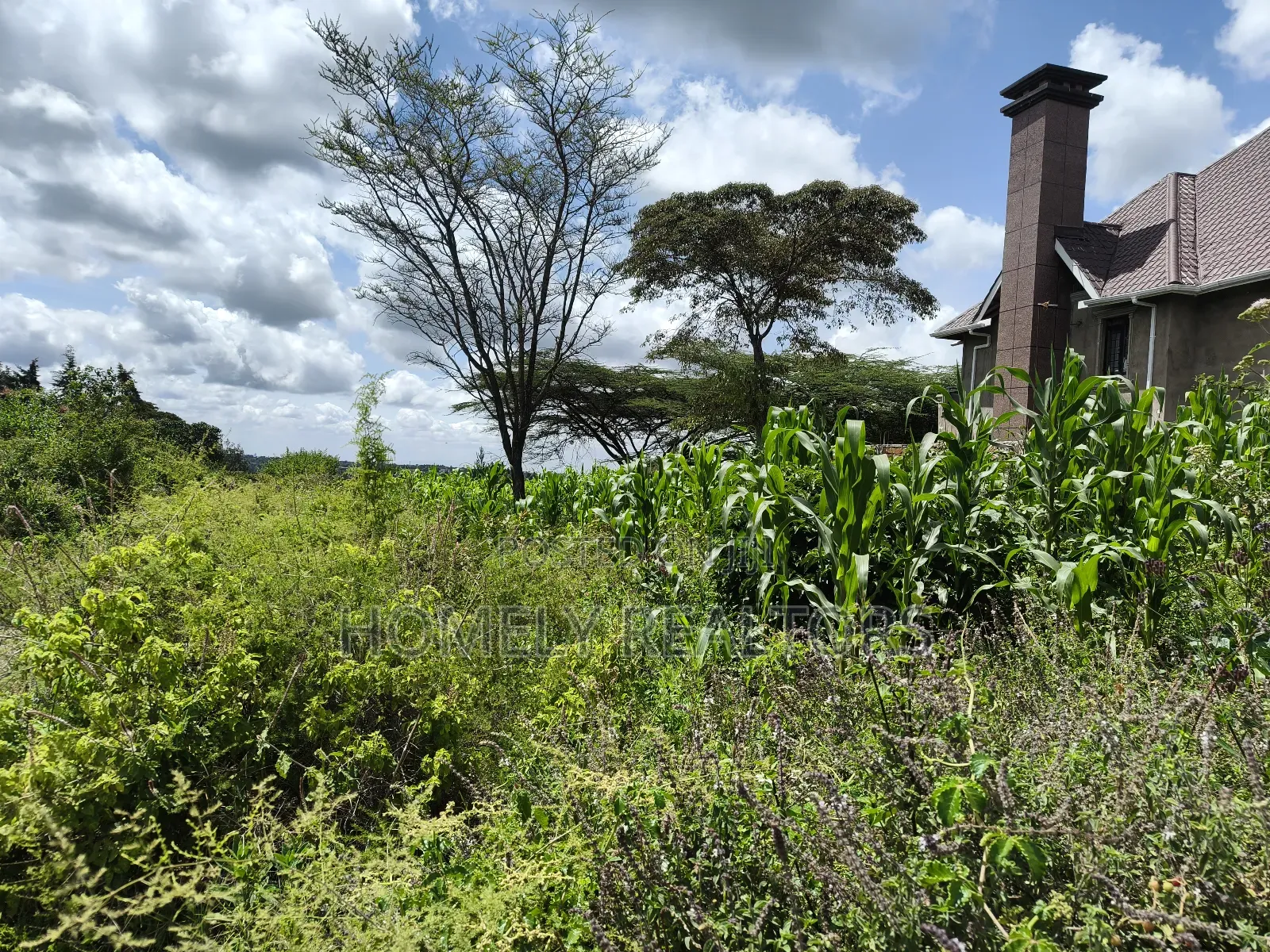 Eighth Acre Plot in Ngong, Ol Keri 100 Meters From Tarmac