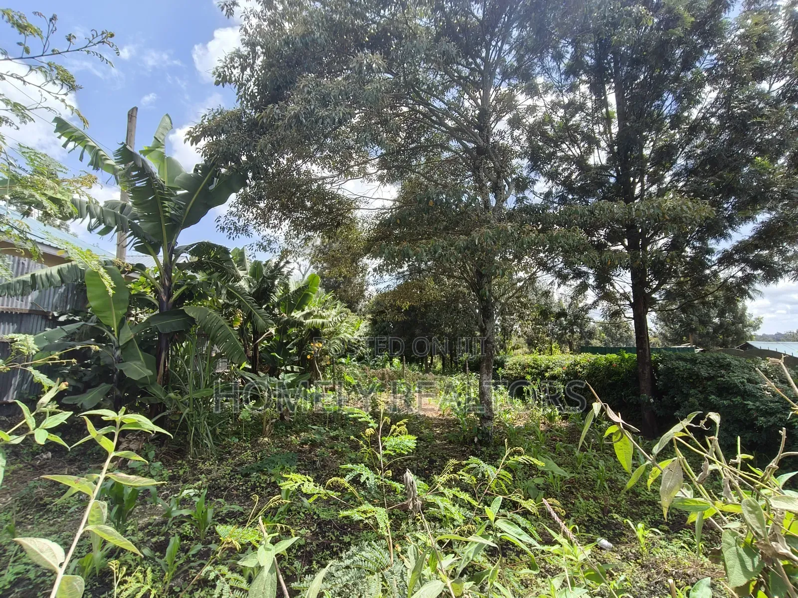 Half Acre Plot on Sale in Ngong, Ol Keri Touching the Tarmac